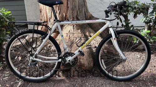 Schwinn Impact Pro opinión y ficha técnica